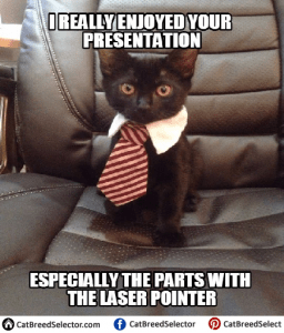 Business Cat Memes – Cat Breed Selector