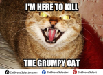 Evil Cat Memes – Cat Breed Selector